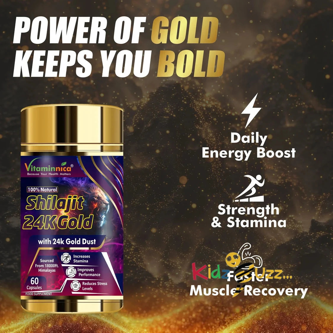 Vitaminnica Shilajit 24K Gold x 3