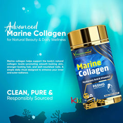 marine based collegene 1000mg x 3