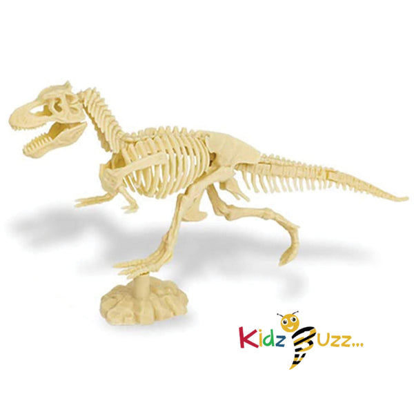 Dig & Discover Tyrannosaurus Rex