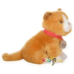 Sitting Gold Cat Soft Toy