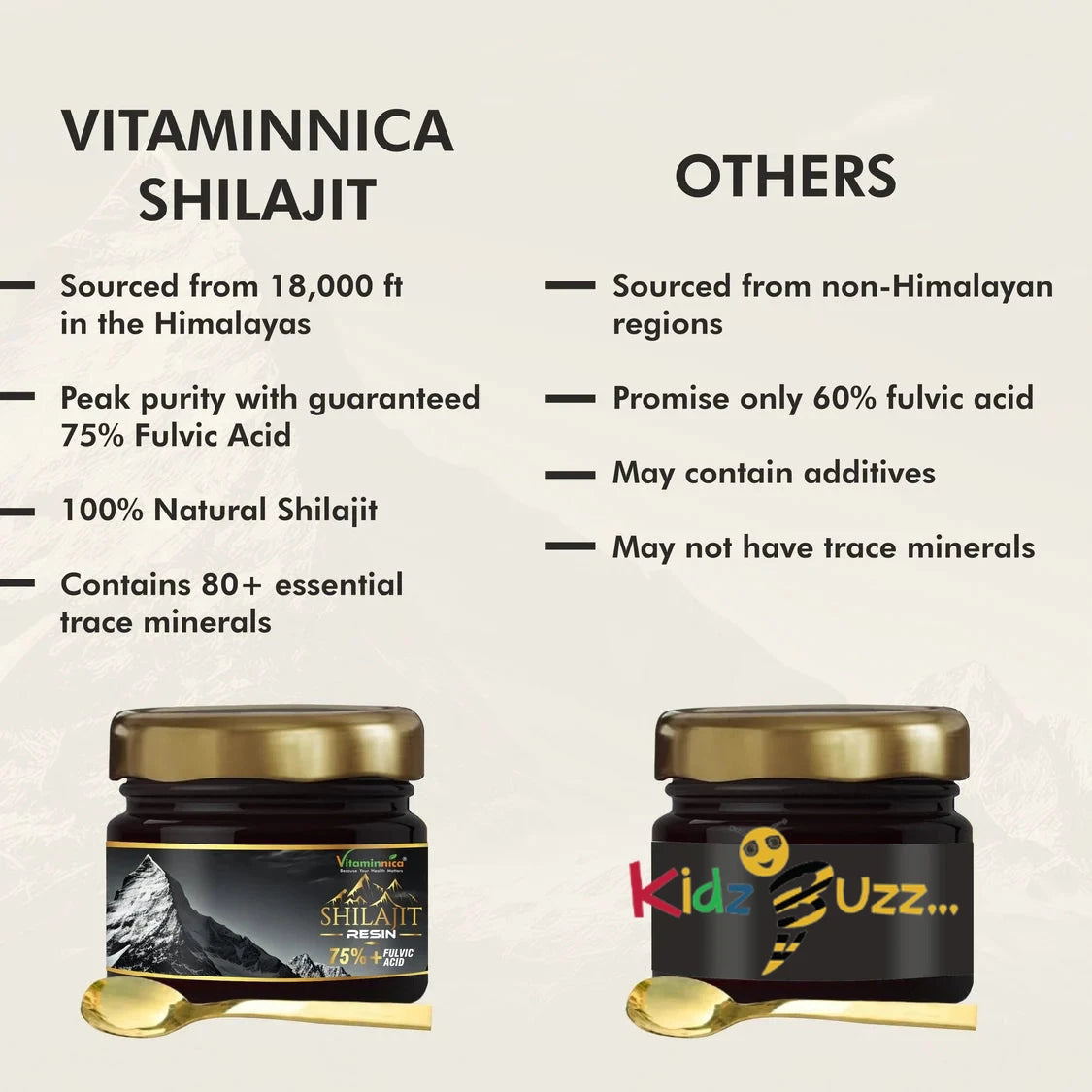 Vitaminnica Shilajit Resin x 3