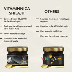 Vitaminnica Shilajit Resin x 3