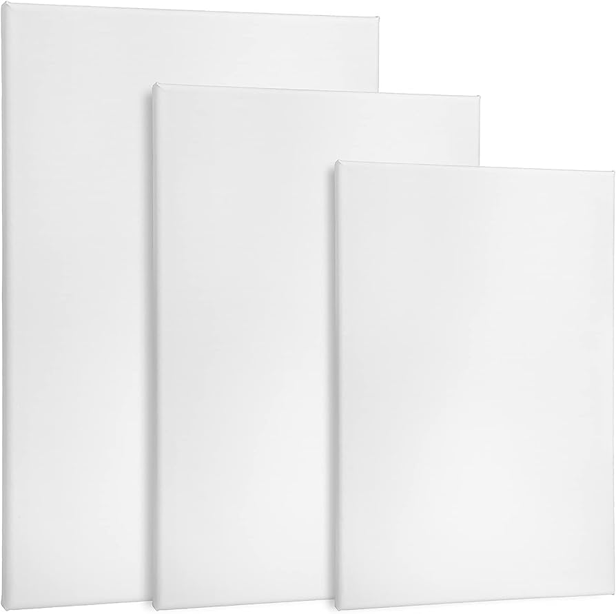 Canvas Assorted(Set Of 3), Plain White Canvas for Painting Sketching Drawing - kidzbuzzz