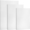 Canvas Assorted(Set Of 3), Plain White Canvas for Painting Sketching Drawing