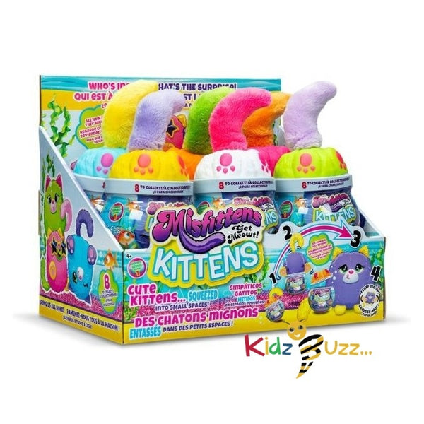 Misfittens Kittens Fishbowl- Cute Kittens For Kids