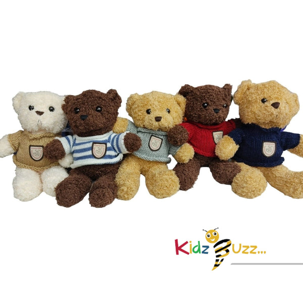 Sweater Teddy Small Best Gift For Valentine, Birthday,New Year