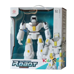 Intelligent Robot Infrared Toy
