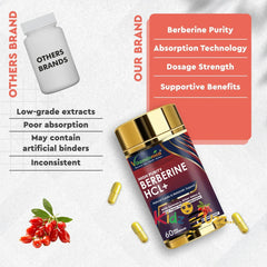 Berberine HCL Capsules | Metabolic Health & Blood Sugar Support x 3