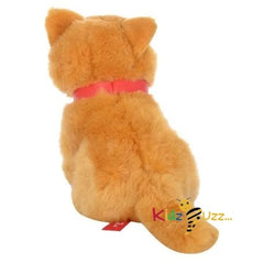 Sitting Gold Cat Soft Toy