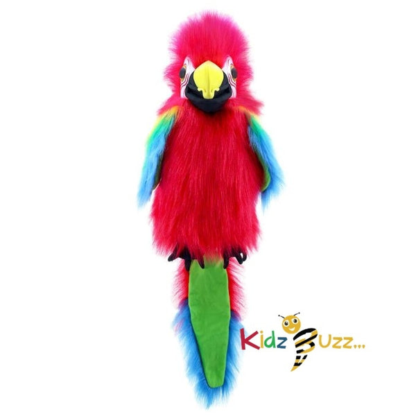 Large Birds Amazon Macaw Soft Toy For Kids