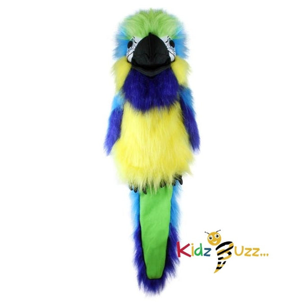 Large Birds Blue & Gold Macaw Soft Toy For Kids