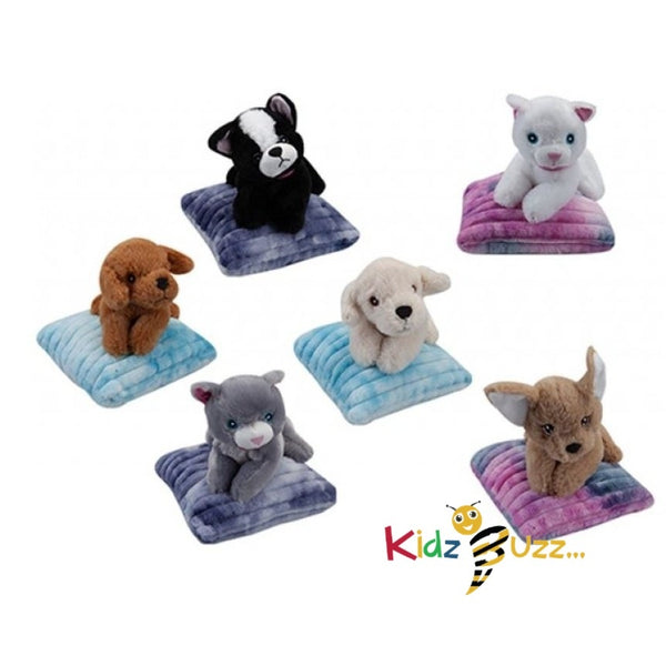 25 cm Pets In The Dye Cushion(6 Assorted) - kidzbuzzz