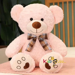 60cm Cute Teddy Bear Pink Plush Bear Soft Toy