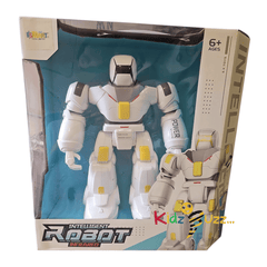 Intelligent Robot Infrared Toy