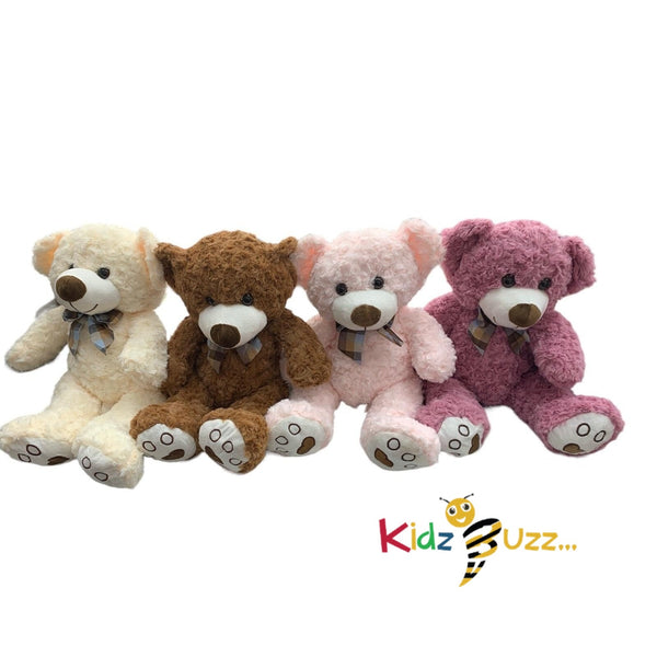 50cm Teddy Bear Soft Toy- Cute And Cuddly Collectible Soft Plush Toy