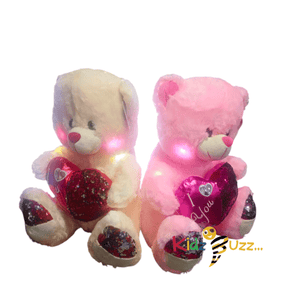 Teddy Bear With Love Heart Soft Toy Gift With Light Best Gift Toy 50cm