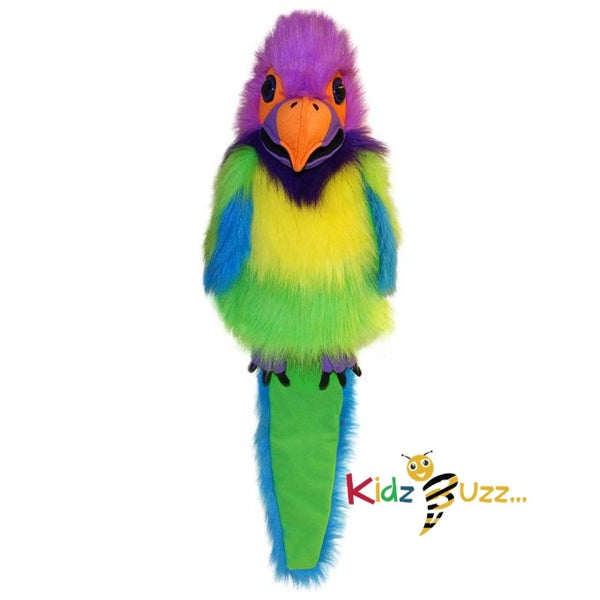 Large Birds Plum Headed Parakeet Soft Toy For Kids