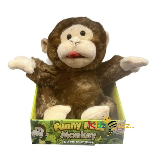 Funny Face Monkey Soft Toy