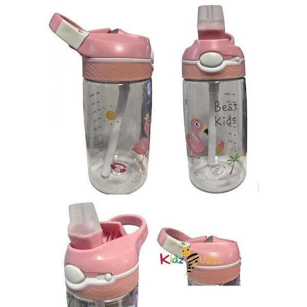 Water Bottle Flamingo W/Lock 480ml