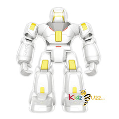Intelligent Robot Infrared Toy