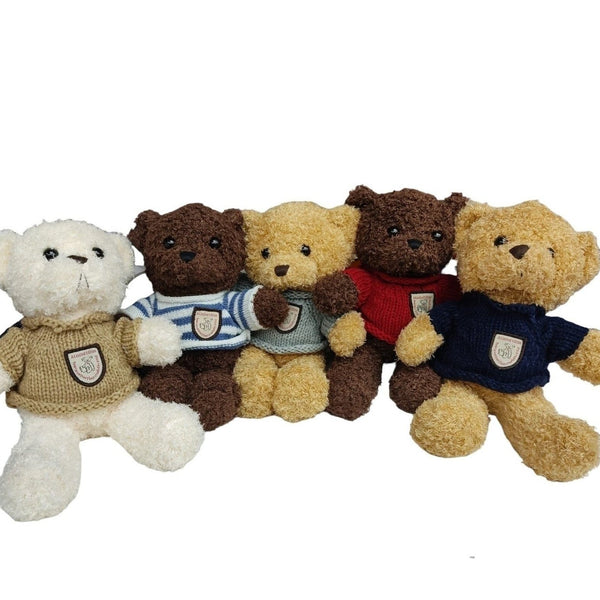 Sweater Teddy Small Best Gift For Valentine, Birthday,New Year