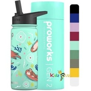 Proworks Insulated Water Bottle 1L