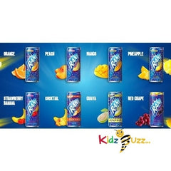 Rani Juice Mixed Different Flavoures Fruit Drink With Chunks 24 x 235ml Juice