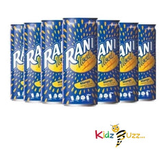 Rani Mango Fruit Drink 235ml Pack of 24