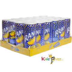 Rani Float Pineapple Flavour 24 x 235 ml