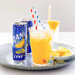 Rani Float Pineapple Flavour 24 x 235 ml
