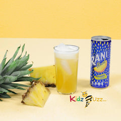 Rani Float Pineapple Flavour 24 x 235 ml