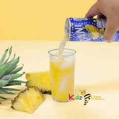 Rani Float Pineapple Flavour 24 x 235 ml