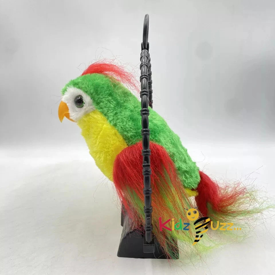 Cutiest Talking Parrot Toy For Kids kidzbuzzz