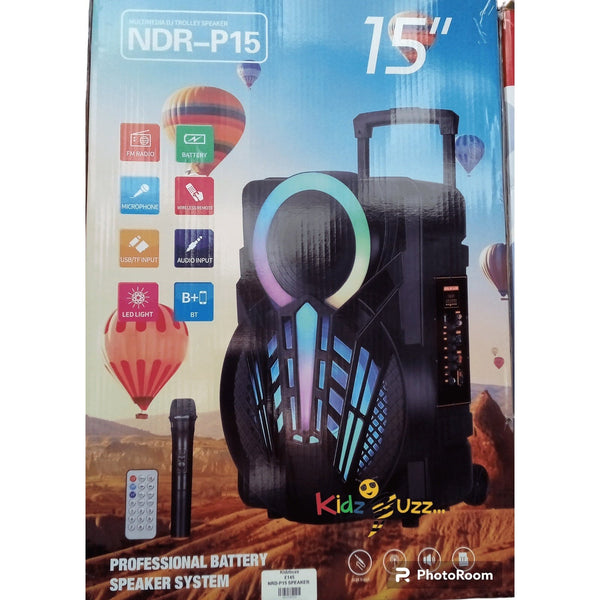 NRD-P15 SPEAKER