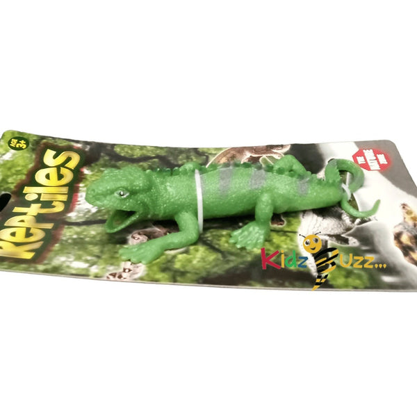 Reptiles
