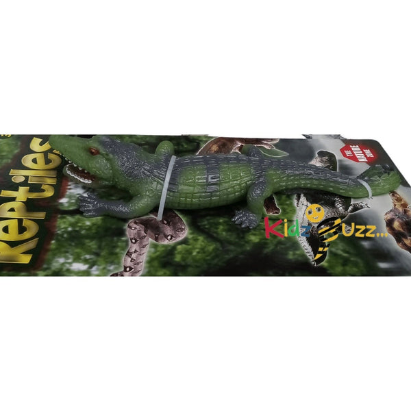 Reptiles