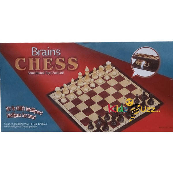 MAGNETIC CHESS