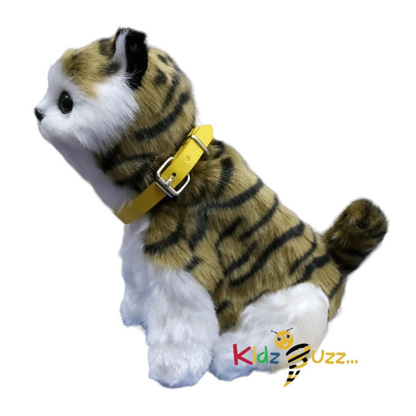 R/C Soft Toy Cat