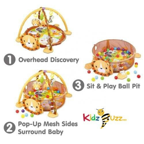 BABY ACTIVITY GYM & BALL PIT