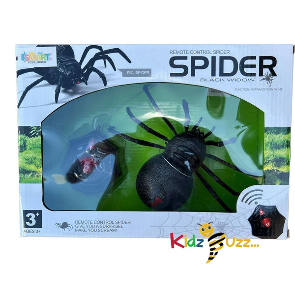 R/C Spider Widow