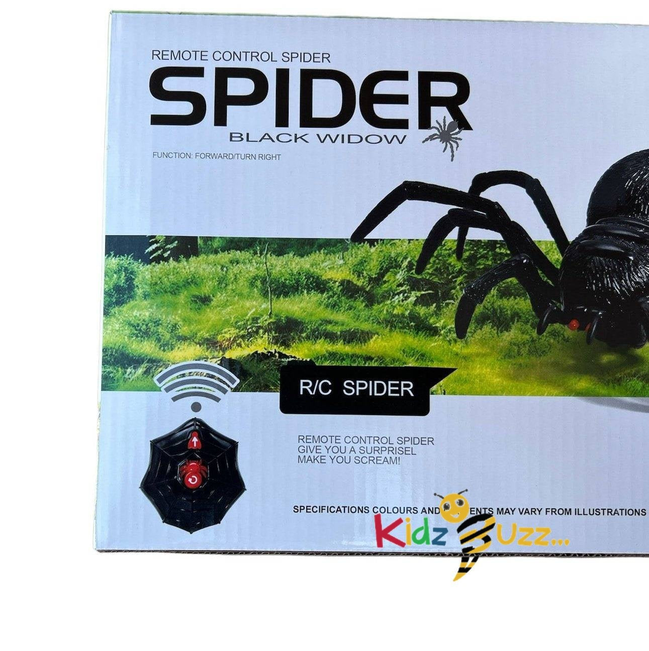 R/C Spider Widow