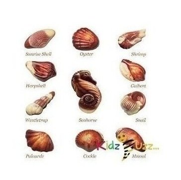 Guylian Seashells Chocolates