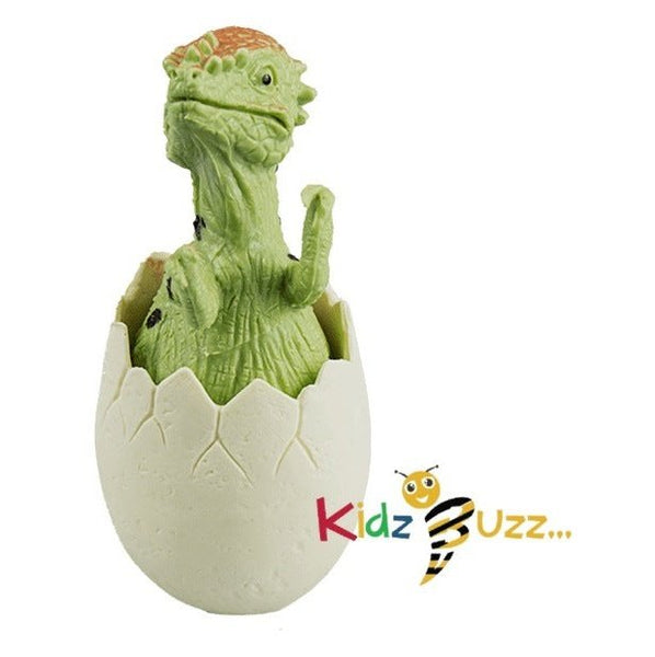 Dinosaur Egg PDQ